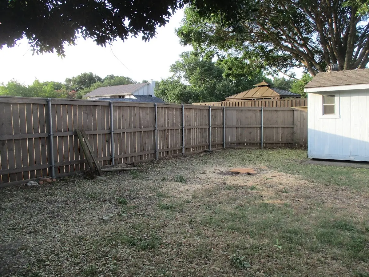 Cleared yard after professional tree removal in Yucaipa